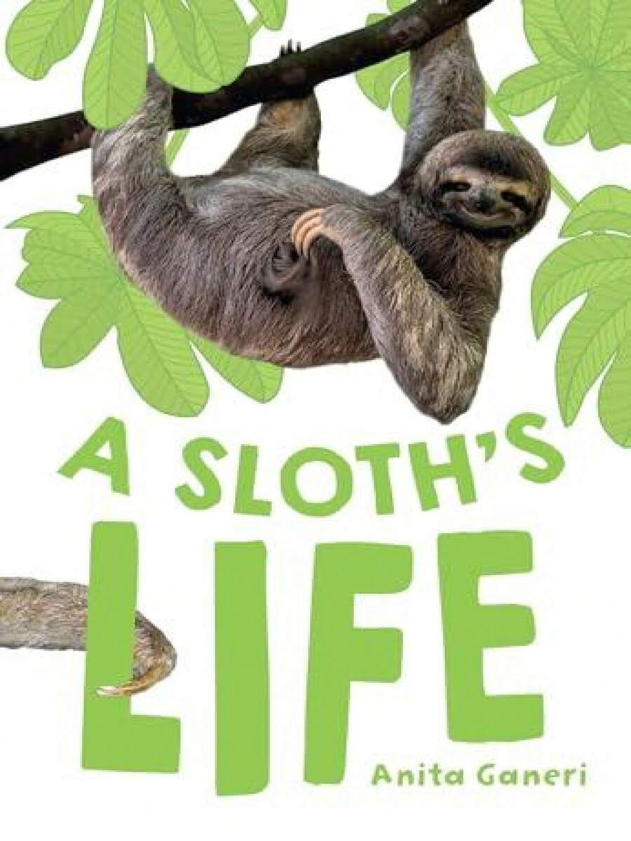 Sloth's Life - Single Book - View 1