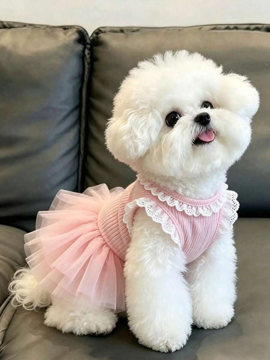 Puppy Princess Ballet Dress, 3D Butterfly Decor Sleeveless Ribbed Pet Dress, Sweet Puppy Party Outfit, Suitable For Maltese And Bichon - Pink - View 1