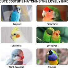 Parrot Cape Small Cloak Bird Clothes Thickened Warm Tiger Print Cockatiel Outdoor Wear - View 10
