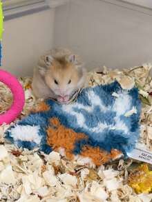 Plush Hamster Sleeping Mat, Random Pattern, Winter Warm Sleeping Mat, Plush Style, All-Season Hamster Sleeping Mat, Soft And Warm, Suitable For Small Hamsters, Christmas Gift, Halloween Gift - A-Blue - View 7