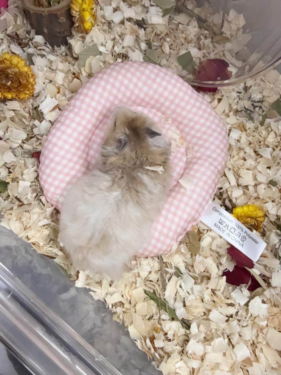 Winter Pink Warm Hamster Nest, Soft Sleeping Pad For Hamsters, All-Season Use, Plaid Style, Soft Fabric, Suitable For Hamsters To Rest, Sleep, Play, Large Size Fits All Hamsters - A-Pink - View 1