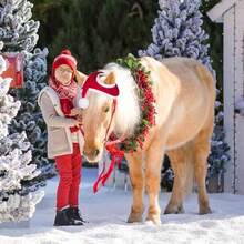 1pc Santa Hat - Soft Polyester Fiber Holiday Accessory For Horses - Multicolor - View 4