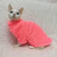 1pc Pet Cat Sweater Home Wear, 5 Colors Optional, Warm Solid Color Soft Polar Fleece Skin-Friendly, Suitable For Devon Rex, Hairless Cats, Small Dogs - Multicolor - View 3