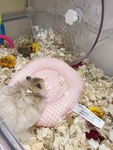 Winter Pink Warm Hamster Nest, Soft Sleeping Pad For Hamsters, All-Season Use, Plaid Style, Soft Fabric, Suitable For Hamsters To Rest, Sleep, Play, Large Size Fits All Hamsters - A-Pink - View 7