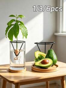 6/3pcs Lightweight Hydroponic Seedling Support Rack, Conical Seed Germination Pot, Avocado Seedling Hydroponic Planting Pot, Indoor/Outdoor Gardening Tool, Suitable For Beginners And Gardening Enthusiasts - Multi-color - View 6