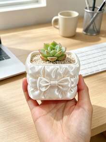 Satin Bow Square Flower Pot, Faux Fabric Pleated Texture, Creative Ins Style Succulent Small Planter, Desktop Greenery Potted Plant Container, Highly Attractive Office Window Sill Decorative Ornament - Multicolor - View 14