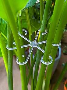 4/1 buah Tiang Penyangga Tanaman Transparan (8 buah/4 buah), Desain Punggung Kura-kura Anti Selip, Cocok untuk Tanaman Merambat, Bunga, dan Bibit. Penyangga Multifungsi Gaya Bambu, Cocok untuk Berkebun, Berkemah, Lengkungan Pernikahan, dan Dekorasi Ruangan. Tahan Lama, Dapat Digunakan di Dalam dan Luar Ruangan. - A - View 13