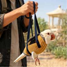 3PCS-Anti-Flight Bird Diaper For Parrots Outdoor Walking Escape Proof Pet Carrier Adjustable Breathable Flight Suit For Small Birds Parakeet Cockatiel - View 3
