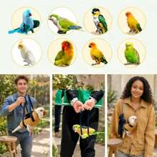 3PCS-Anti-Flight Bird Diaper For Parrots Outdoor Walking Escape Proof Pet Carrier Adjustable Breathable Flight Suit For Small Birds Parakeet Cockatiel - View 6