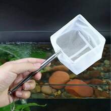 Aquarium Fish Net, Telescopic Long Handle, For Catching Fish And Shrimp, Aquarium Cleaning Tool And Accessory - White - View 5
