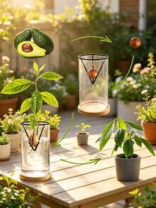 6/3pcs Lightweight Hydroponic Seedling Support Rack, Conical Seed Germination Pot, Avocado Seedling Hydroponic Planting Pot, Indoor/Outdoor Gardening Tool, Suitable For Beginners And Gardening Enthusiasts - Multi-color - View 7