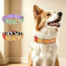 Pet Basic Pet Collar, Ideal Choice For Pet Lovers, Soft Adjustable Collar With Nylon Leash. - Multicolor - View 4