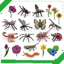 Children's Insect And Plant Models, Realistic Specimens, Educational Toys, Let Children Learn The Characteristics Of Wild Insects And Plants - Multicolor - View 6
