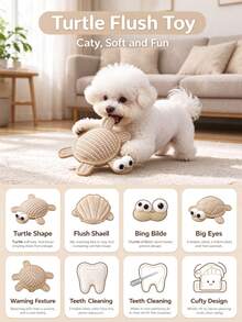 1pc Pet Cat Toy Natural Woven Turtle Squeaky Catnip Chew Resistant Teething Dental Cute Cartoon Big Eyes Durable Cat Dog Boredom Relief For Small Pets, Suitable For 3-4kg - Multicolor - View 6