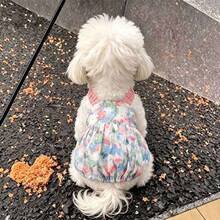 Pet Dog Cat Ditsy Floral Camisole Pumpkin Dress, Suitable For All Seasons, Fits Small And Medium Dogs - Multicolor - View 5
