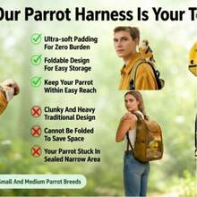 3PCS-Anti-Flight Bird Diaper For Parrots Outdoor Walking Escape Proof Pet Carrier Adjustable Breathable Flight Suit For Small Birds Parakeet Cockatiel - View 7