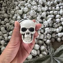 5pcs Halloween Skull Mini Skulls, Halloween Party Decoration Props, Desktop Decor - Multicolor - View 6
