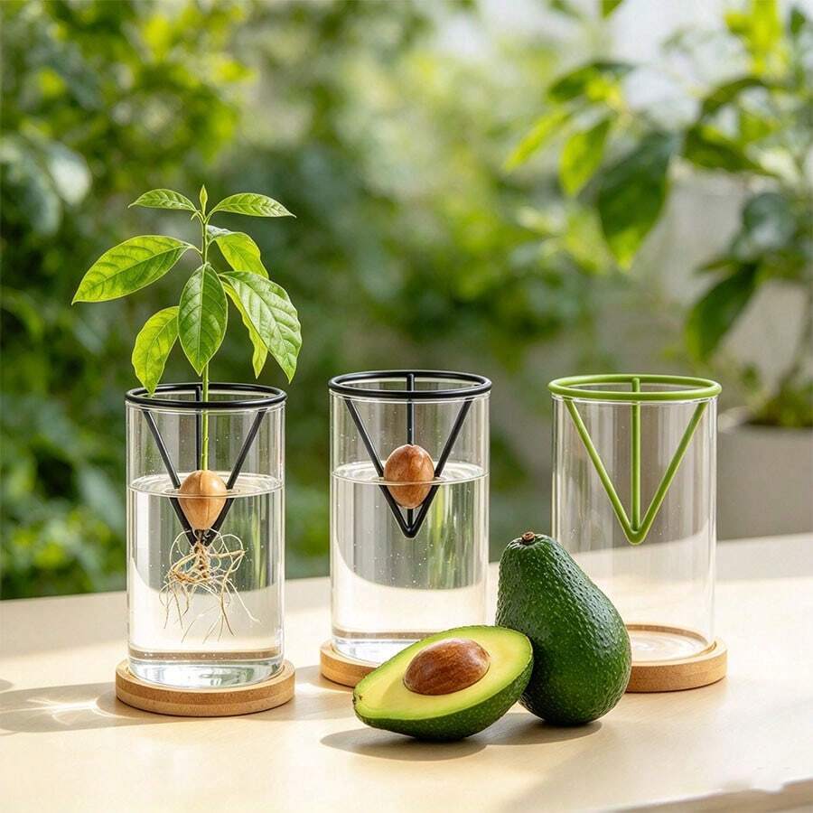 3/6 buah Dudukan Bibit Hidroponik Kerucut, Cocok untuk Alpukat dan Benih Lainnya, Pot Perkecambahan Hidroponik, Rak Penopang Berkebun Klasik Ringan, Universal untuk Dalam dan Luar Ruangan, Cocok untuk Penggemar Berkebun Pemula - Beraneka warna - View 1
