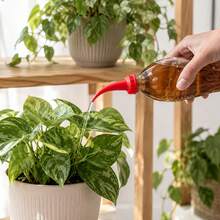 Beverage Bottle Watering Can Nozzle, Suitable For Most Beverage Bottle Mouths - B - View 4