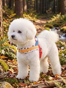 DomKim Saddle Style No Pull Dog Harness With Back Control Handle, Thick Soft Padded Escape Proof Vest Harness, Adjustable Durable Pet Chest Strap, Reflective Walking Gear For Small Medium Large Dogs Outdoor Hiking Daily Stroll - Multicolor - View 2