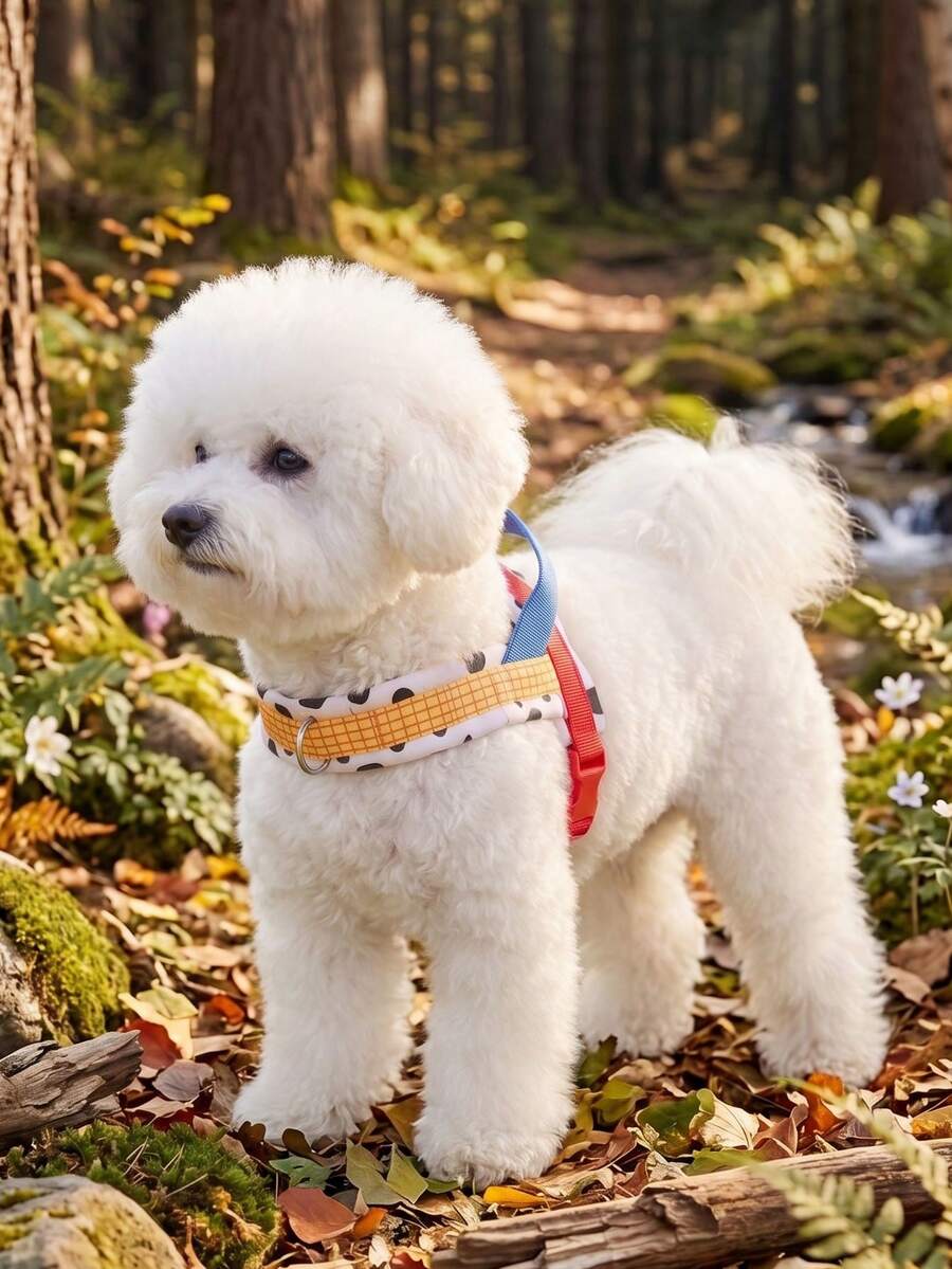 DomKim Saddle Style No Pull Dog Harness With Back Control Handle, Thick Soft Padded Escape Proof Vest Harness, Adjustable Durable Pet Chest Strap, Reflective Walking Gear For Small Medium Large Dogs Outdoor Hiking Daily Stroll