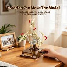 6pcs Skeleton Dinosaur, Creative Mechanical Design With Rotatable Axis For Dinosaur Movement, Fun Stress Relief Assembly Toy, Bone Texture With Spooky Atmosphere, Suitable For Christmas, Easter, Birthday Gift For Boyfriend, Desktop Ornament For Men - Skeletal Dinosaur - View 8
