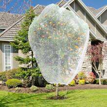 1pc Large Fruit Tree Protection Net With Drawstring, Suitable For Garden Protection, Prevents Pests And Birds, Protects Fruit Trees From Birds, Insects, Cicadas And Other Insects - Protective Cover - View 1