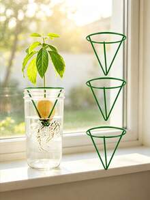 6/3pcs Lightweight Hydroponic Seedling Support Rack, Conical Seed Germination Pot, Avocado Seedling Hydroponic Planting Pot, Indoor/Outdoor Gardening Tool, Suitable For Beginners And Gardening Enthusiasts - Multi-color - View 10