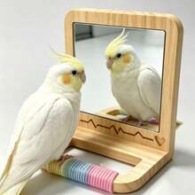 Pet Parrot Hanging Cage Mirror, Rainbow Cotton Rope Pine Perch, Tiger Skin Peony Cockatiel Cage Interior Stand, Bird Perching Accessory - View 5