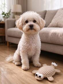 1pc Pet Cat Toy Natural Woven Turtle Squeaky Catnip Chew Resistant Teething Dental Cute Cartoon Big Eyes Durable Cat Dog Boredom Relief For Small Pets, Suitable For 3-4kg - Multicolor - View 4