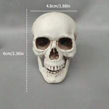 5pcs Halloween Skull Mini Skulls, Halloween Party Decoration Props, Desktop Decor - Multicolor - View 8
