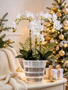 Thickened Root Control Flower Pot, Transparent Breathable Plastic Flower Pot For Phalaenopsis, Cymbidium, Dendrobium Planting Base, Breathable Pot Cover, Root Control Pot, Nutrient Bowl And Seedling Cup - A - View 5