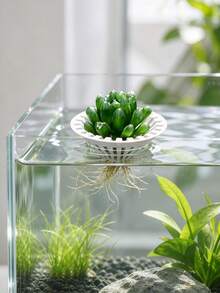 Aquarium Hydroponic Floating Planting Basket, 3D Printed Plastic Universal Floating Plant Holder, Soilless Cultivation Fixation Device, Root Rot Prevention Water Purification Plant Rack, Fish Tank Landscape Decoration Accessory, Suitable For Ivy - Multicolor - View 7