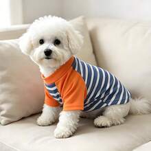 1PC Pet Cat/Dog Striped T-Shirt Cute Casual Comfortable Pullover, Suitable For Small And Medium Sized Pet Clothing - Blue - View 11