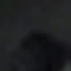 الأسود