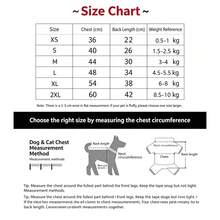 Pakaian Hewan Peliharaan Bergaya Baru Musim Gugur/Dingin, Ukuran Kecil & Sedang, Anak Anjing dan Kucing, Kaos Lengan Panjang dengan Blok Warna - Light Grey - View 2