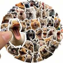 50Pcs Cute Funny Basil Cat Animal Stickers, Aesthetic Vinyl Cartoon Decals, Cat Theme Gift, Suitable For DIY Decoration On Water Bottle, Guitar, Luggage, Phone - Multicolor - View 4