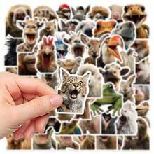 50Pcs Cute Funny Basil Cat Animal Stickers, Aesthetic Vinyl Cartoon Decals, Cat Theme Gift, Suitable For DIY Decoration On Water Bottle, Guitar, Luggage, Phone - Multicolor - View 2