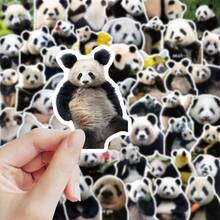 50 st panda- och blomklistermärken, söta panda- och blommönster, vattentäta dekaler för bärbara datorer, vattenflaskor, resväskor och pyssel, roliga dekorativa klistermärken för djur- och naturover, perfekt present för daglig användning - Multifärgad - Visa 4