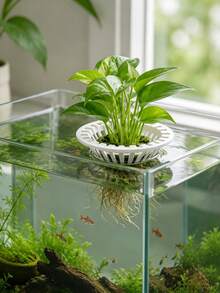 Aquarium Hydroponic Floating Planting Basket, 3D Printed Plastic Universal Floating Plant Holder, Soilless Cultivation Fixation Device, Root Rot Prevention Water Purification Plant Rack, Fish Tank Landscape Decoration Accessory, Suitable For Ivy - Multicolor - View 5
