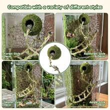 Magnetic Jumping Spider Hideout, Habitat Decor Kit - Handmade Moss Hideout With Climbing Rope, Hemp Rope Bridge Climbing Net And Loose Moss, Fun Shell Accessory For Climbing And Hiding, Suitable For Jumping Spiders/Small Insects - View 4