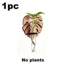 3/1pc Monstera Leaf Wall Hanging Plant Propagation Stand With Test Tubes, Creative Hydroponic Plant Storage Rack Plastic Test Tube Culture Rack, Bohemian Style Hydroponic Wall Decor, Suitable For Living Room, Bathroom, Home Wall Hanging Flower Rack - Multiple Styles - View 14