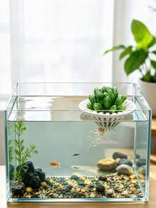 Aquarium Hydroponic Floating Planting Basket, 3D Printed Plastic Universal Floating Plant Holder, Soilless Cultivation Fixation Device, Root Rot Prevention Water Purification Plant Rack, Fish Tank Landscape Decoration Accessory, Suitable For Ivy - Multicolor - View 4
