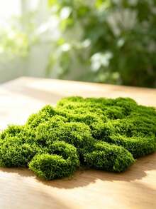 1 Pack 100g Artificial Moss, Suitable For Home Decor, Micro Landscape Arrangement, Lawn Micro Landscape, Potted Plants And Garden Landscape Decoration, Suitable For Valentine's Day, Valentine's Day Wedding, Birthday And Other Occasions - A - View 7