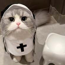 Funny Pet Performance Costume, Daily Cosplay Outfit For Dogs & Cats, Cute Pet Photography Prop, Hilarious Clothes For Kittens & Puppies - Multicolor - View 8