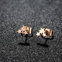 1 Pair Stainless Steel Earrings, Star Earrings ,Minimalist And Fashionable Mini Earrings, Suitable For Daily Wear - GED016 - View 14