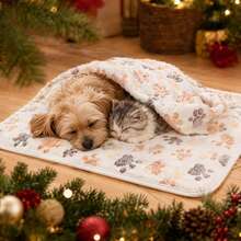 1pc Puppy Blanket, Super Soft Warm Sleeping Pad, Paw Print Pattern, Fluffy Premium Fleece Pet Blanket, Flannel Blanket, Suitable For Small And Medium Dogs And Kittens - M Off-white Paw Print 76*52 - View 4