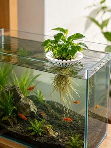 Aquarium Hydroponic Floating Planting Basket, 3D Printed Plastic Universal Floating Plant Holder, Soilless Cultivation Fixation Device, Root Rot Prevention Water Purification Plant Rack, Fish Tank Landscape Decoration Accessory, Suitable For Ivy - Multicolor - View 3