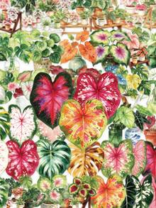 50pcs Plant Leaf Scrapbook Stickers, Transparent Waterproof PET Stickers, Suitable For Skateboard, Fridge, Laptop, Phone, Luggage. - Multicolor - View 12