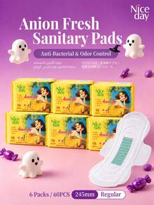 Niceday 245mm 10pcs/Pack Daily Anion Sanitary Pads With Anion Chip, Odor Removal, High Absorbency, Fast Absorption, Dry And Non-Itchy, Breathable Panty Liners, Hypoallergenic, Balance Intimate Micro-Molecular Environment - 245mm (60pcs/6 Packs) - View 12